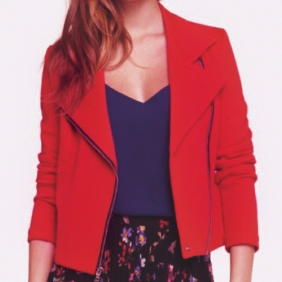 Express Knit Moto Jacket - Picture 1 of 8